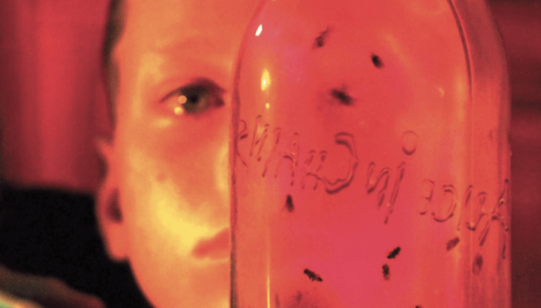Jar of Flies, 26 anni di magia per l’EP degli Alice in Chains