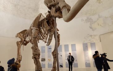 Mammut, L’Aquila ritrova la sua star