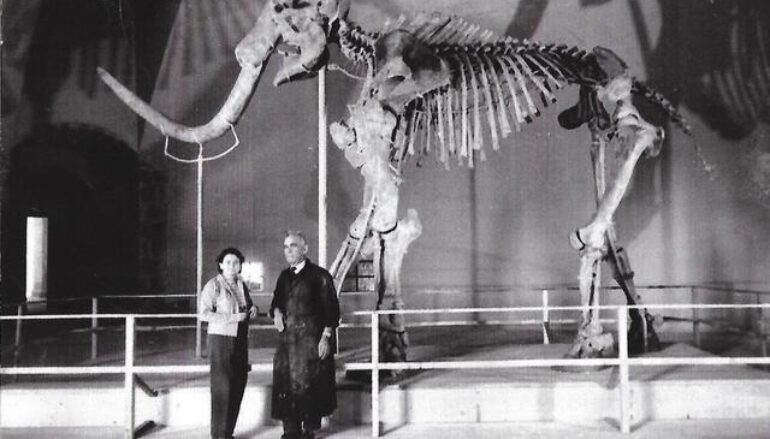 Mammut, foto e video del ritrovamento 70 anni dopo