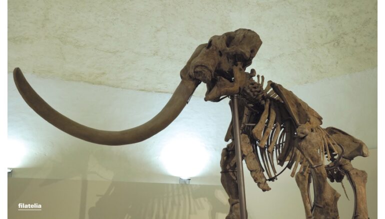 Annullo filatelico sul Mammut per i 70 anni dal ritrovamento