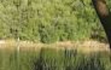 Ansa-La storia / Raccolta fondi per ultimo viaggio di Rahmat