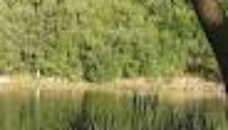 Ansa-La storia / Raccolta fondi per ultimo viaggio di Rahmat