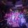 Roma Jam a Let it Beer
