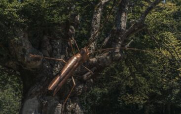 Arteparco inaugura il suo festival